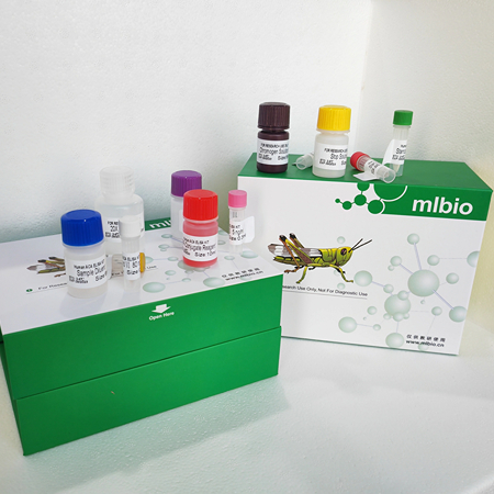 兔ELISA试剂盒操作步骤与注意事项