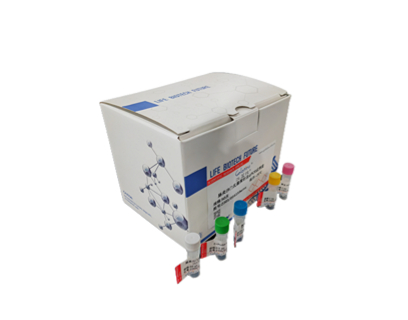 柯萨奇病毒RT-PCR试剂盒