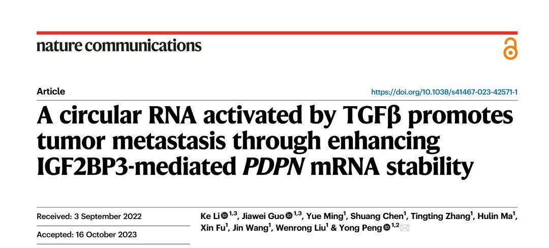 Nature子刊丨TGFβ激活的circITGB6通过增强IGF2BP3介导的 PDPN mRNA 稳定性来促进肿瘤转移