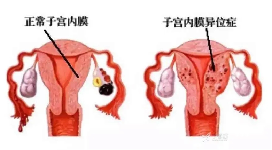 产品细节图片1
