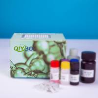 猪胰淀粉酶α2(AMY2A)ELISA测试盒