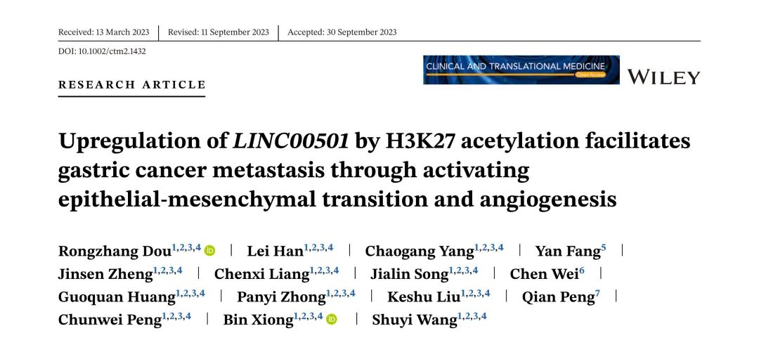 IF10+客户文章丨H3K27乙酰化上调LINC00501通过激活上皮-间充质转化和血管生成促进胃癌转移