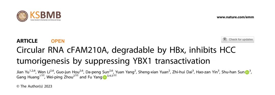 Nature子刊丨可被HBx降解的circRNA cFAM210A通过抑制YBX1反式激活来抑制HCC肿瘤发生