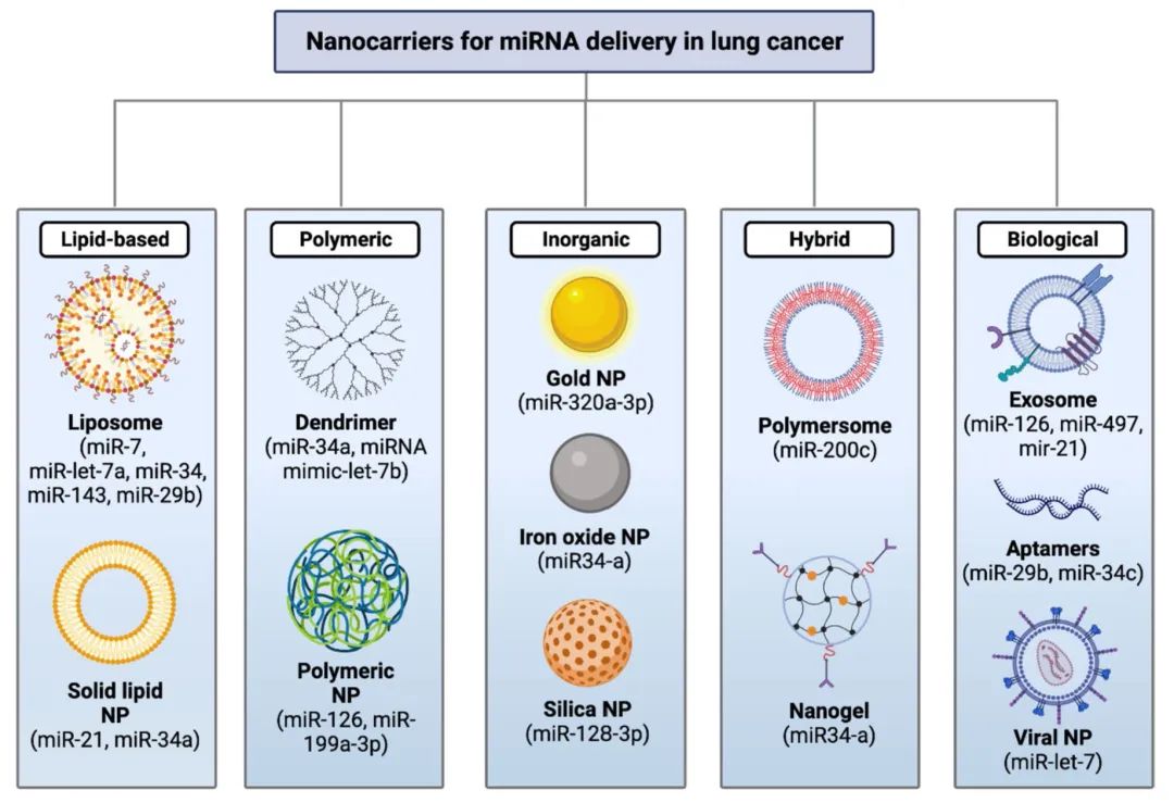 fig3. 肺癌中遞送mirna治療藥物的納米載體原文鏈接:https://pubmed.