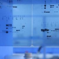 Fire™ 750 抗人 CD154 荧光标记APC 抗体