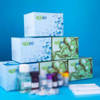 猪（ADRa1A）ELISA测试盒