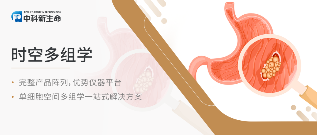 Cancer Cell（IF 50.3）| 迄今为止最大的人类IMs基因组和转录调查，揭示胃癌进展的克隆动力学