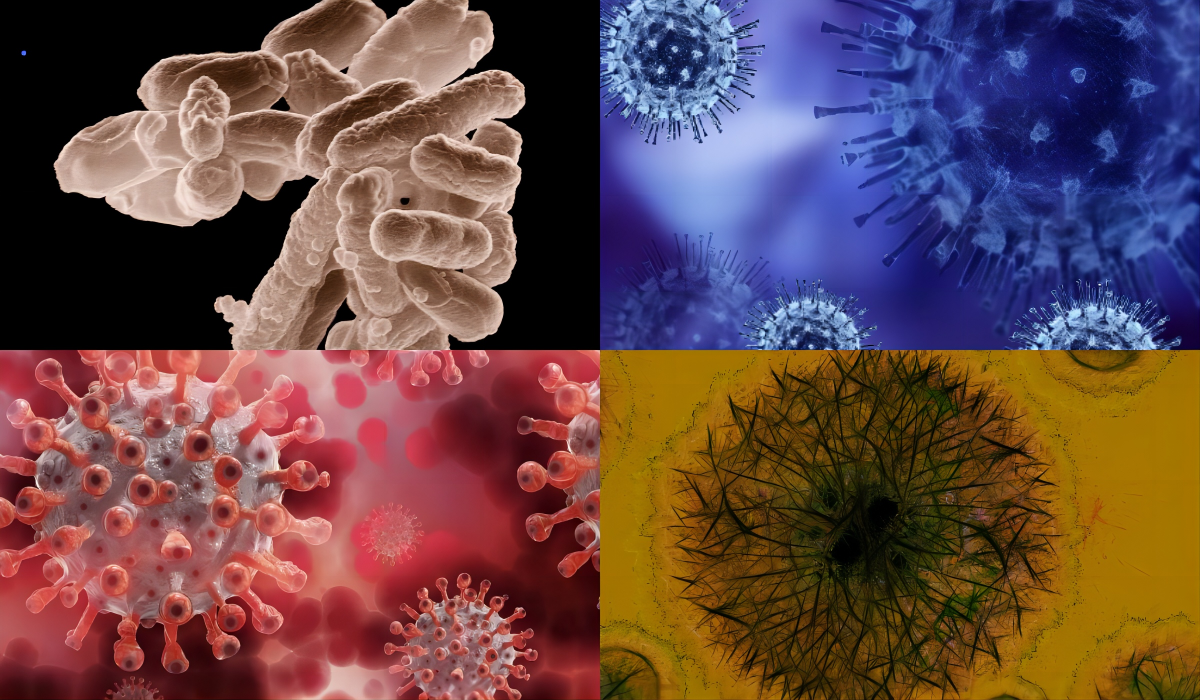 病原体核酸不好提？要不来试试这款试剂盒？