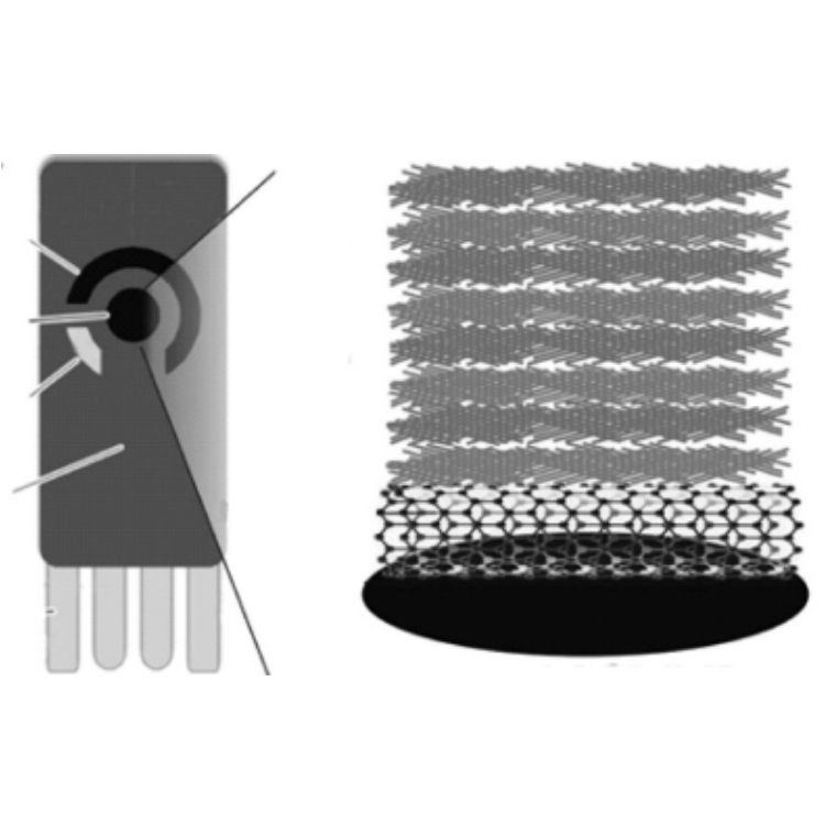 中性介质的葡萄糖检测解决方案-西班牙Micrux微电极的修饰后三电极电化学检测