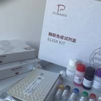 人糖蛋白130(gp130)ELISA试剂盒说明书，重复性好