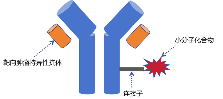 ADC药物体外研究“一站式”产品解决方案