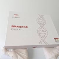 人脑源性神经营养因子(BDNF)ELISA试剂盒价格