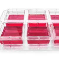 Kugelmeiers  3D 细胞培养板-Sphericalplate 5D