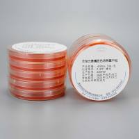 志贺氏菌属显色培养基平板