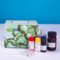 猪11-β-羟基类固醇脱氢酶2(HSD11b2)ELISA测试盒