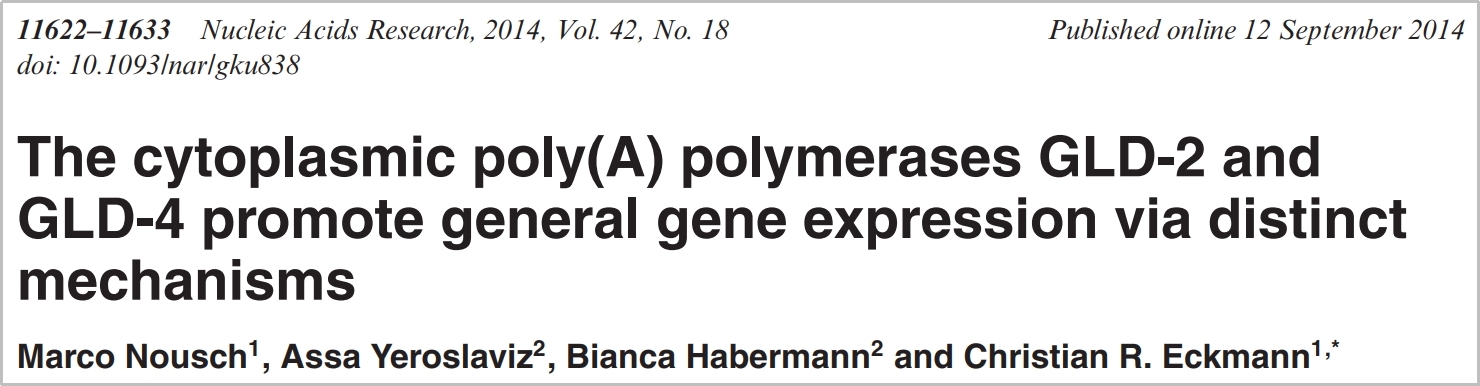 Nucleic Acids Res. | 转录后调控机制研究中Polysome profiling和RNAseq的联合应用
