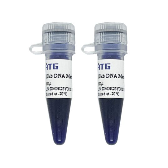 10 kb DNA Marker