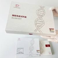 人胰岛素样生长因子1(IGF-1)ELISA试剂盒说明书