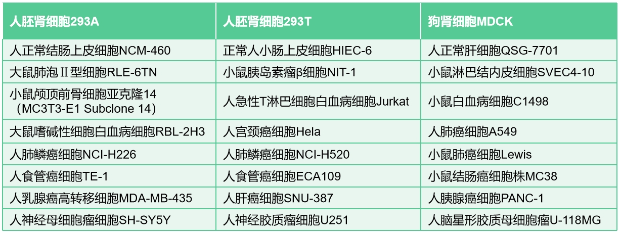 VIP 会员特价服务项目