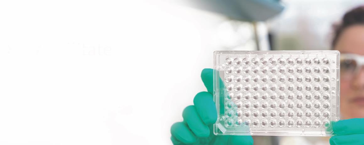 	facelllitate 3D细胞培养板-96孔板384孔