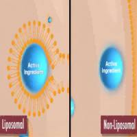DOPC/DOPE/DOPS/Rho-PE 脂质体包裹小分子化药