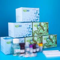 猪载脂蛋白C4(APOC4)ELISA测试盒