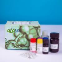 猪醛脱氢酶9家族成员A1(ALDH9A1)ELISA测试盒