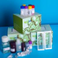 猪碱性鞘磷脂磷酸二酯酶(Alk-Smase)ELISA测试盒