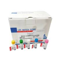 水泡性口炎病毒印第安纳型RT-PCR
