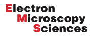 Electron Microscopy Sciences公司（简称EMS）圆形盖玻片 现货中国区总代理