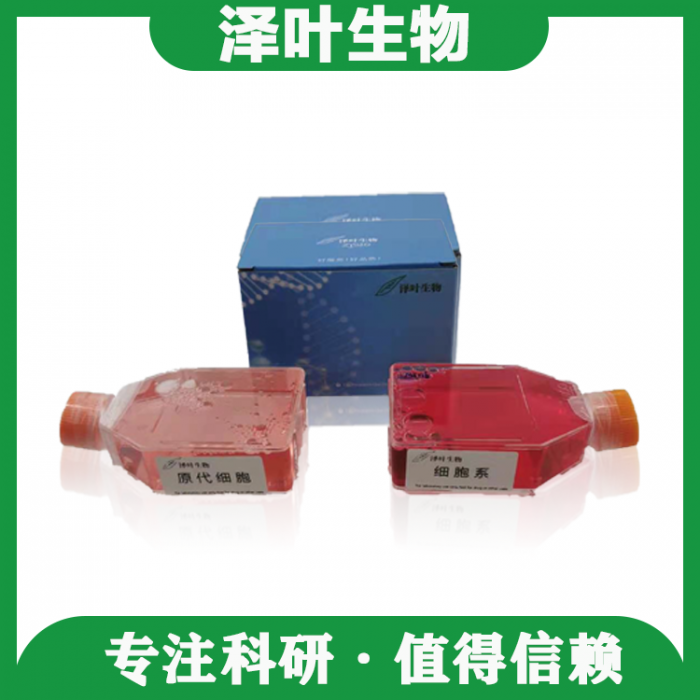 细胞该如何冻存