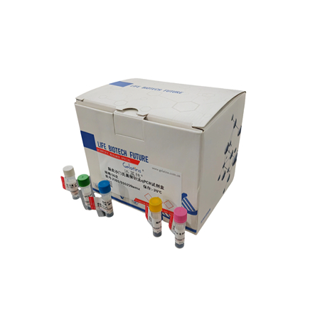 PCR检测试剂盒具体操作方法