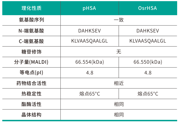 植物源重组人血清白蛋白（OsrHSA）在CGT细胞培养中的应用