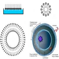mRNA核酸脂质纳米递送载体LNP中常用的辅助磷脂有哪些