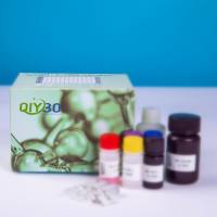 猪炭疽热毒素受体1(ANTXR1)ELISA测试盒