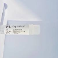 PBMC人外周血单个核细胞 PBMC细胞分离服务