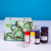 猪载脂蛋白B mRNA编辑酶催化多肽3B(APOBEC3B)ELISA测试盒