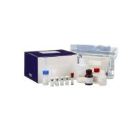 BD 550613 Human IL-10 ELISA Kit 1I