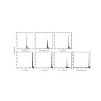 BD 556291 Sphero™ Rainbow 荧光颗粒，3.0 - 3.4 μm