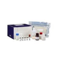 BD 550611 Human IL-2 ELISA Kit II