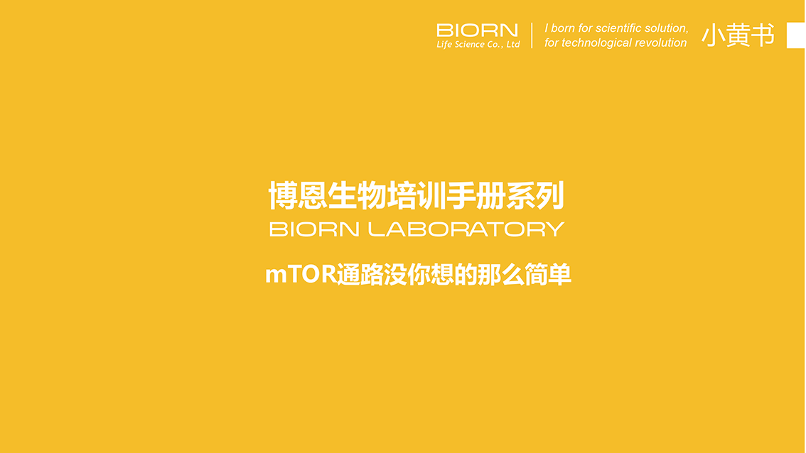 mTOR通路没你想的那么简单