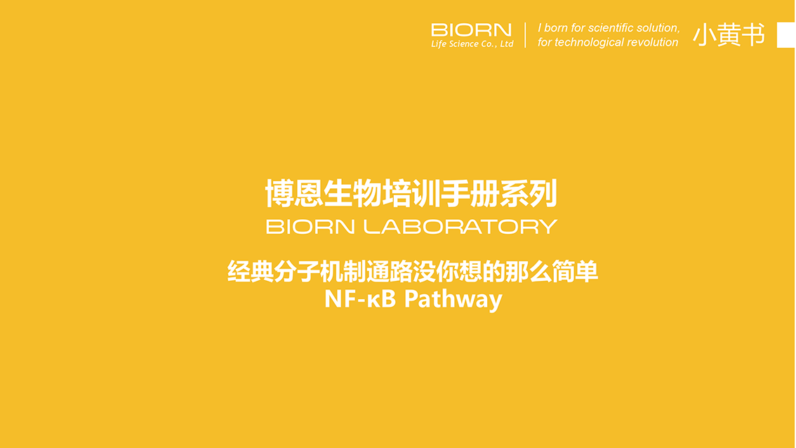 关于NF-κB通路的一切都在这里