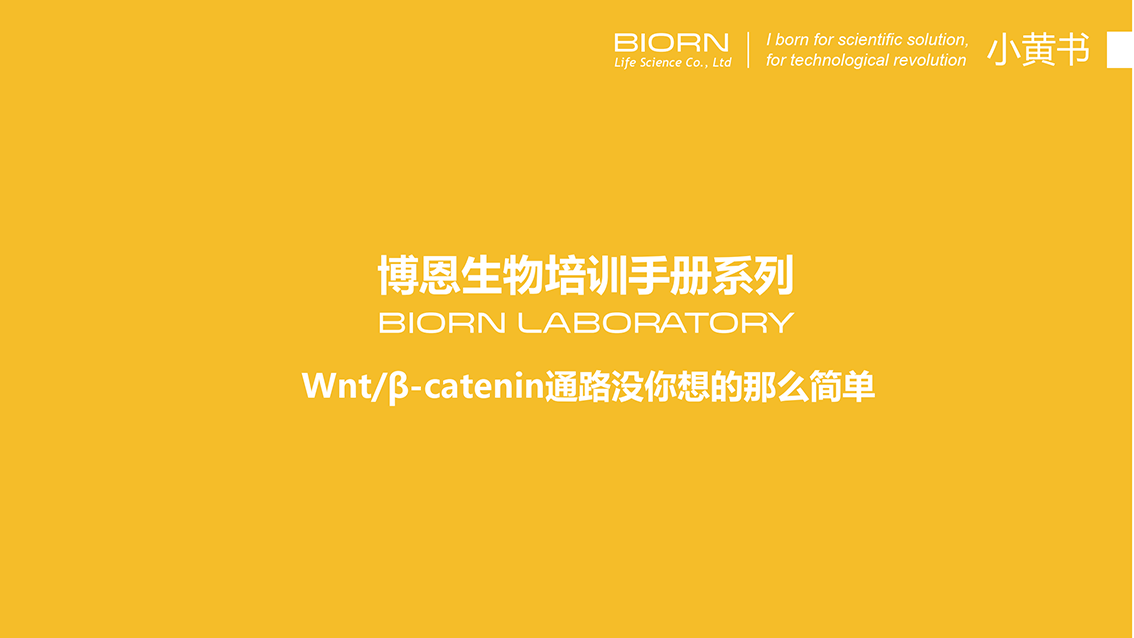 wnt/β-catenin通路没你想的那么简单