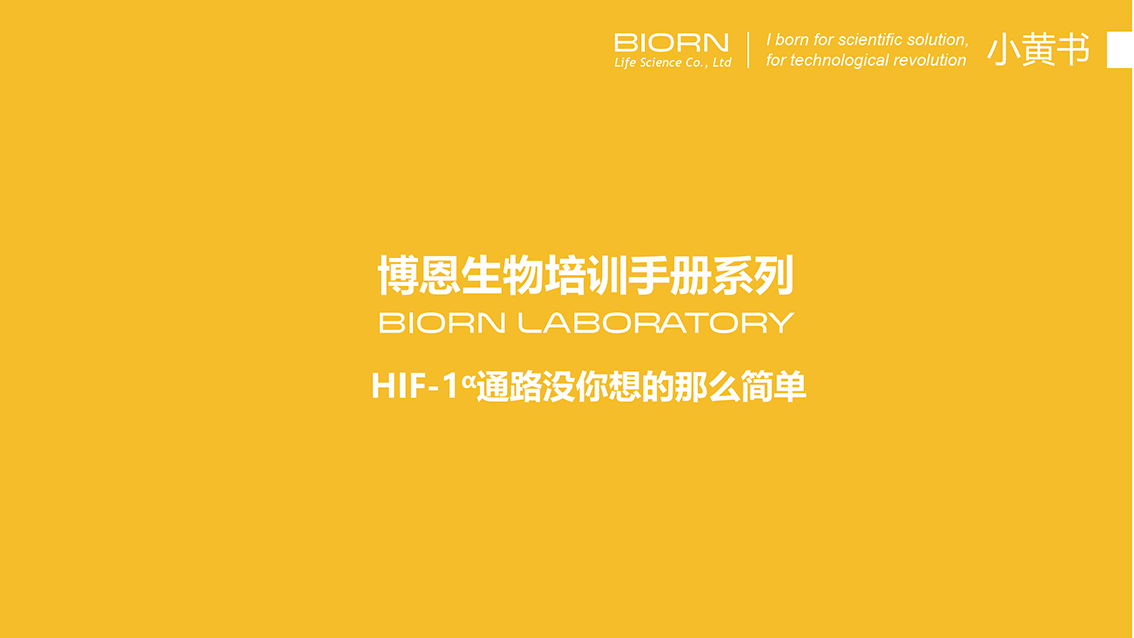 HIF-α通路没你想的那么简单