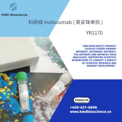 科研级 Inotuzumab ( 英妥珠单抗 )