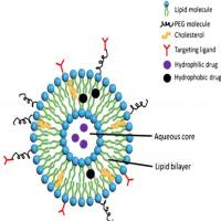 DOTAP Cl 阳离子脂质体转染 Cationic  Liposome  非病毒载体