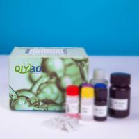 猪富酪蛋白(STATH)ELISA测试盒