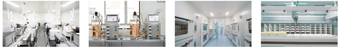 大规模重组抗体表达