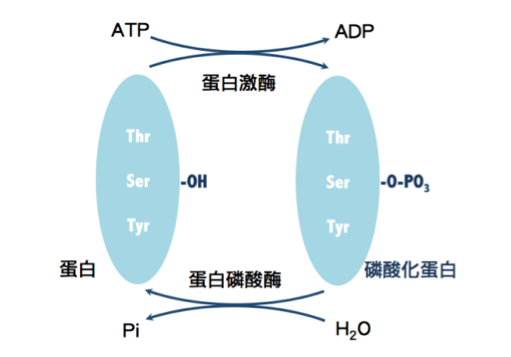 技术资料图片1