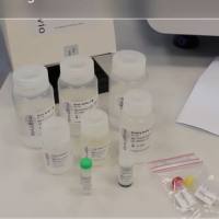 Magtivio MagSi 核酸提取纯化试剂盒